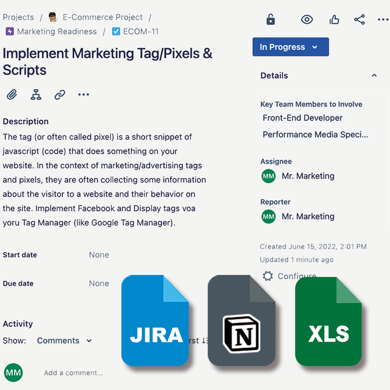 Jira and Notion UPload Project Plan Webshop